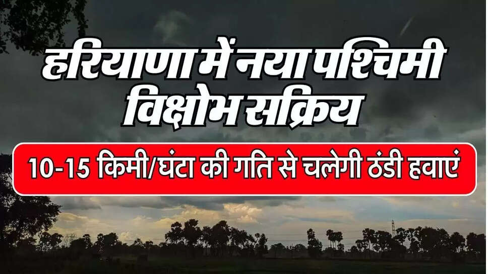 Haryana Ka Mausam: हरियाणा में नया पश्चिमी विक्षोभ सक्रिय, 10-15 किमी/घंटा की गति से चलेगी ठंडी हवाएं